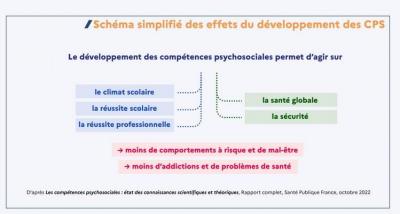 Les effets du développement des CSP