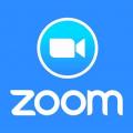 Logo zoom