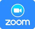 Logo zoom